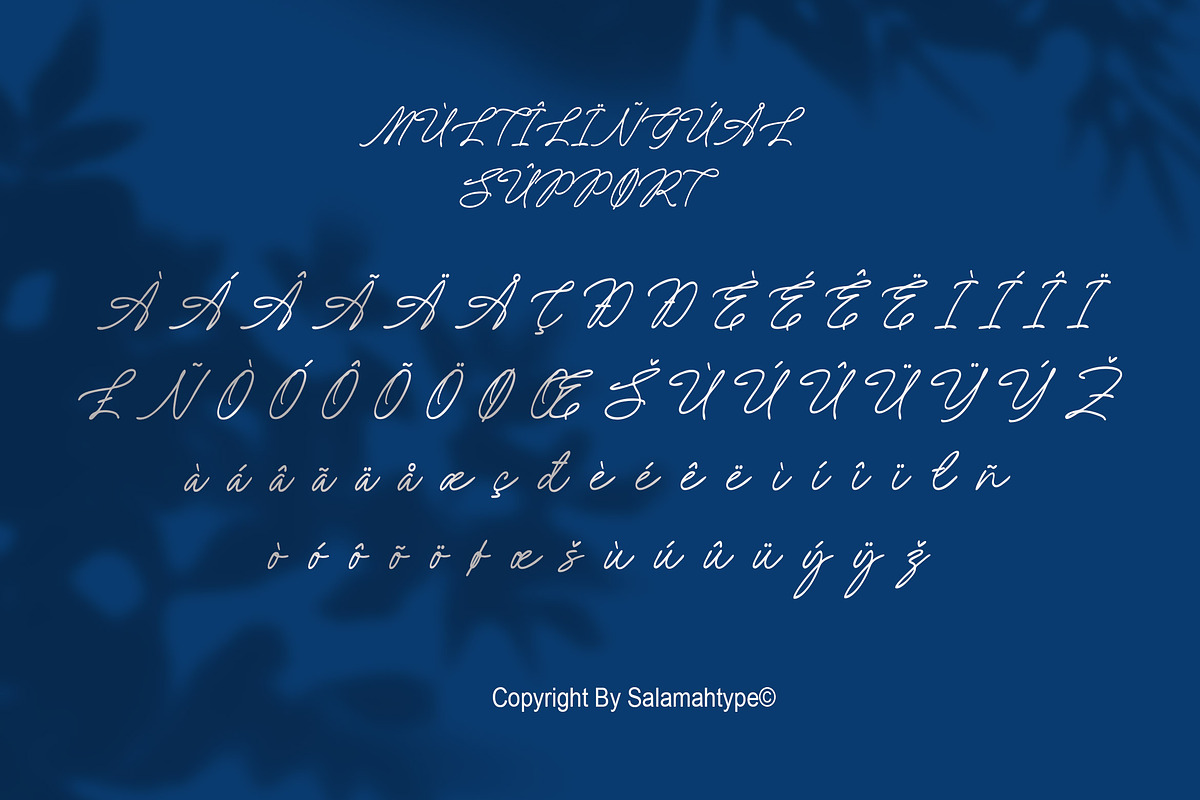 Amely Shine - Beautiful Script Font, a Font by Salamahtype (Photo 8 of 8)