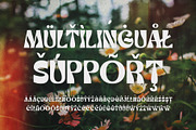 Sunwish Maverick - Experimental, a Sans Serif Font by Arterfak Project (Thumbnail 9 of 11)