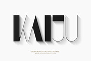 Font Bundle | 25 in 1, a Sans Serif Font by Anthony James (Thumbnail 20 of 45)