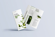 Trifold Brochure Mockup, a Print Template by mockupatelier (Thumbnail 6 of 15)