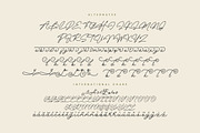 Anabella Monoline Script, a Script Font by Creatype Studio (Thumbnail 8 of 9)