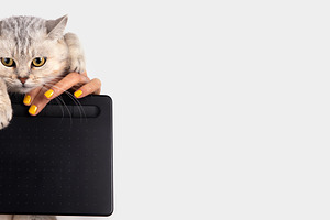 Cat with Digital Drawing Tablet, an Animal Photo by Ales Munt