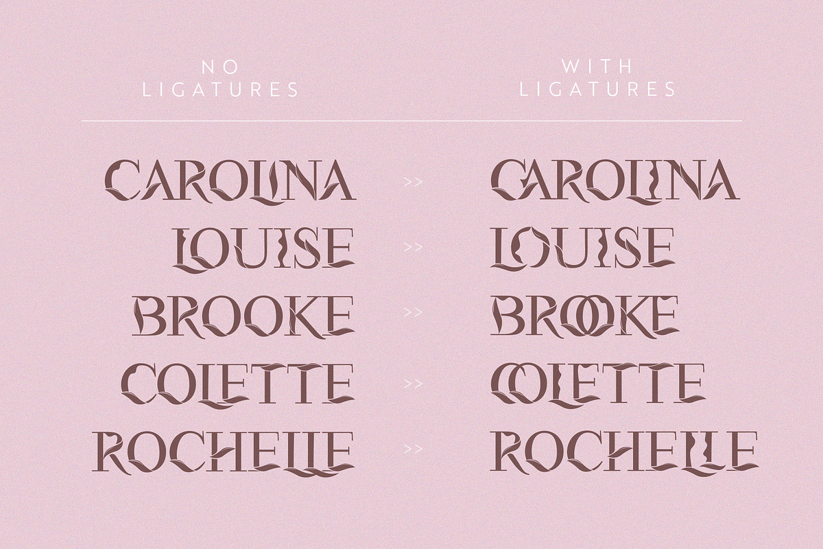 Flora | Modern Display Font, a Serif Font by Kandella's Art (Photo 11 of 18)