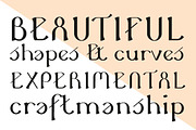 Novo Fika, a Serif Font by NovoTypo (Thumbnail 4 of 5)