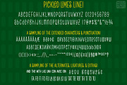 Pickled Limes Line: single-line font, a Handwritten Font by Missy Meyer (Thumbnail 2 of 8)