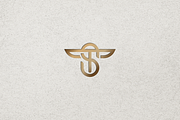 Minimalist Luxury Initials TS Logo, a Branding & Logo Template by Luxury Logos (Thumbnail 4 of 4)
