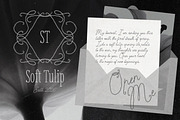 Cute Sign Romantic Textured Script, a Script Font by AnMark (Thumbnail 2 of 11)