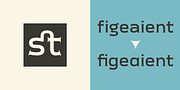 Meguro Serif, a Serif Font by GT&CANARY (Thumbnail 12 of 12)