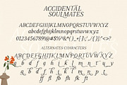 Accidental Soulmates - Romantic Font, a Serif Font by deadlock studio (Thumbnail 9 of 10)