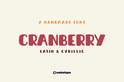 Cranberry Handwritten Display Font, a Script Font by alpercakici (Thumbnail 1 of 10)