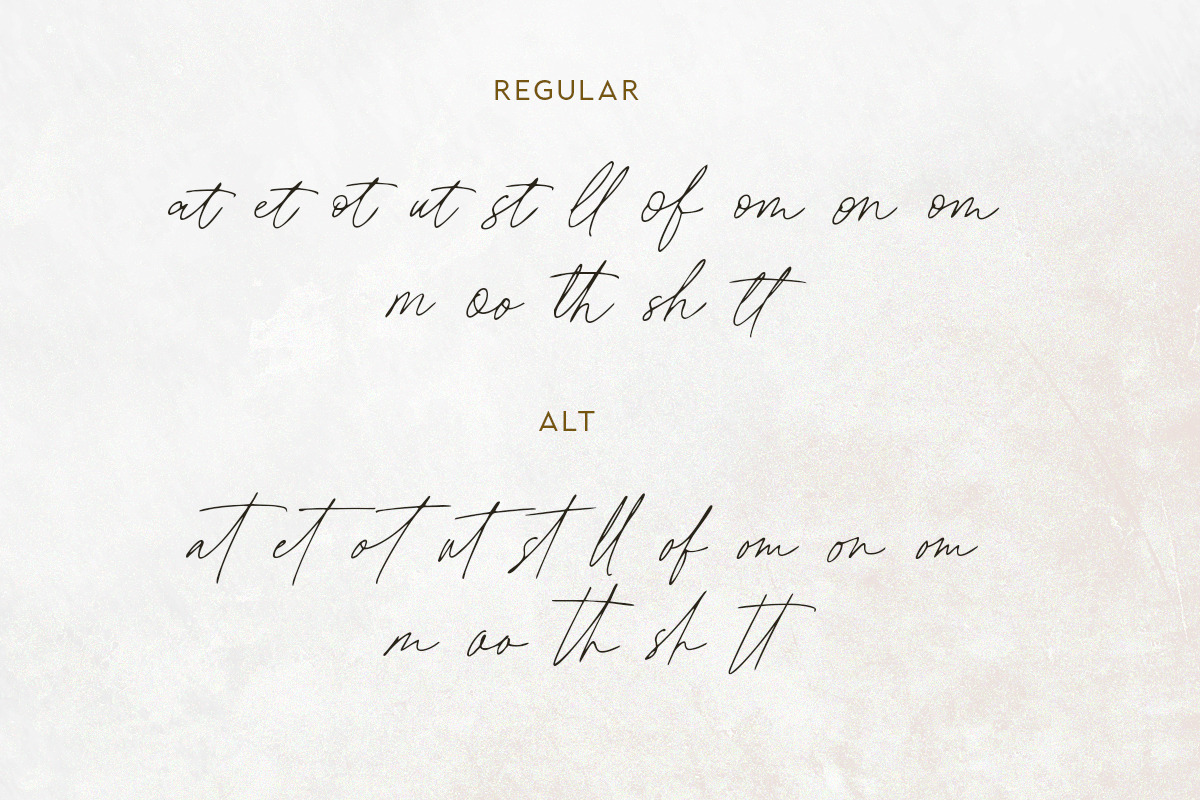 Second Signature - Duo Script, a Script Font by Bale Type (Photo 7 of 12)