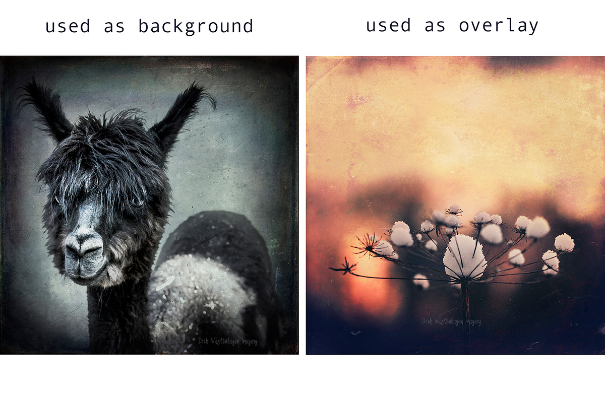 Vintage Film & Photography, a Texture Graphic by dyrkwyst textures (Photo 3 of 3)