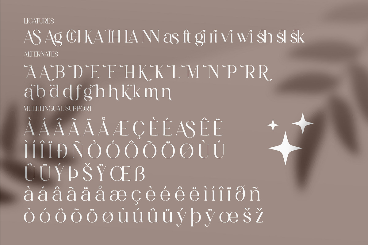 Masvis Minimalist Serif Font, a Serif Font by Storytype Studio (Photo 7 of 8)
