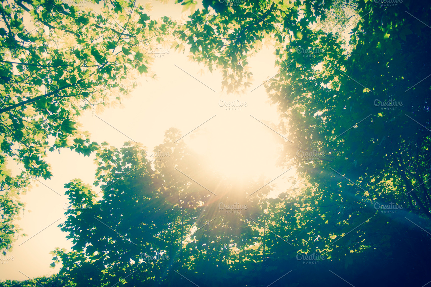 Sunshine featuring sun, flare, and lens flare