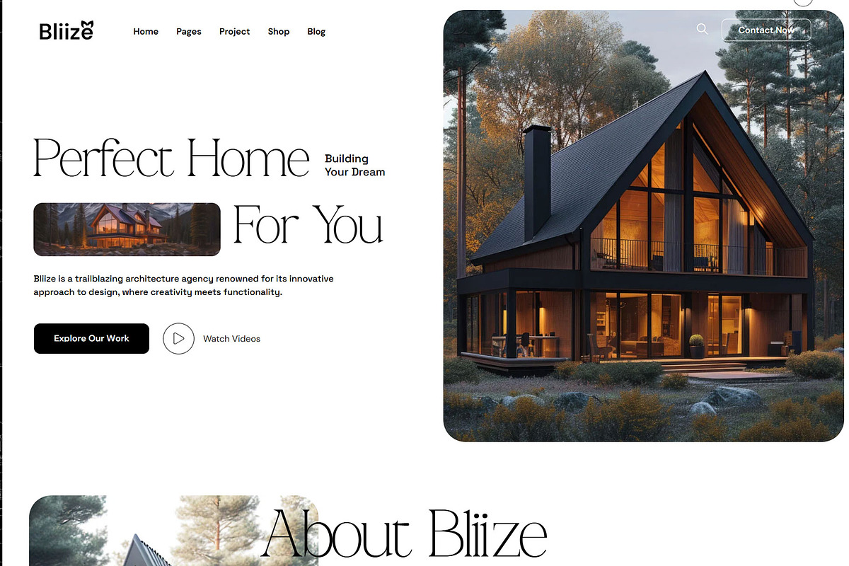 Bliize Multipurpose WordPress Theme, a WordPress Template by NaimaAnjum (Photo 3 of 5)