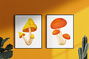 Fall Mushrooms Clipart and Patterns, a Pattern Graphic by Lagmar Design (Thumbnail 11 of 14)