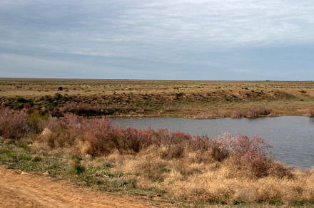 In the steppe under a cloudy sky