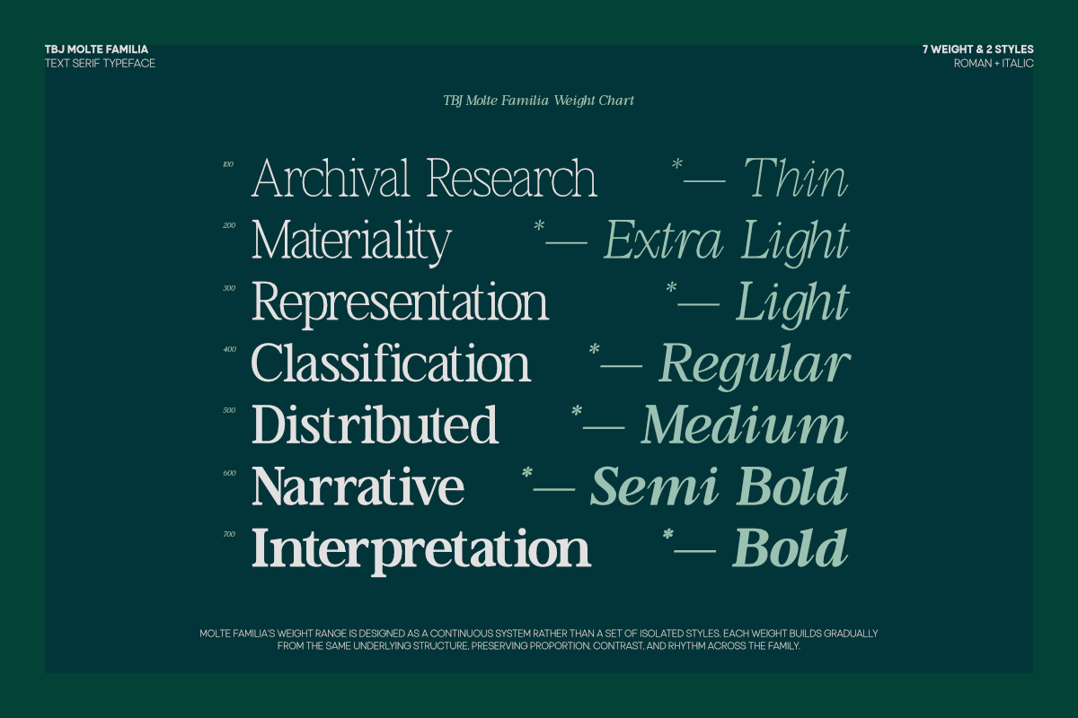 TBJ Moltefamilia Serif italic, a Serif Font by Taboja Studio (Photo 3 of 15)