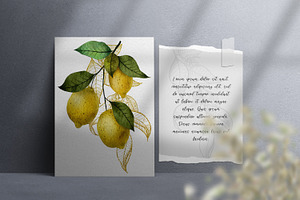 Lemons. Watercolor Collection