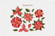 Christmas Florals, Poinsettia, an Object Graphic by ilonitta (Thumbnail 9 of 18)