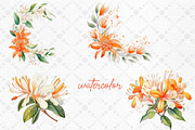 Orange Spring Flowers Honey Lilly, a Decorative Illustration by LeCoqDesign (Thumbnail 2 of 5)