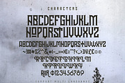 Hodor, a Font by TGIF.STD (Thumbnail 2 of 4)