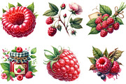 Watercolor Raspberry Clipart, an Illustration by DreamArtGraphic (Thumbnail 4 of 4)