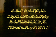 Mainer Wisdom | Retro Bold Script, a Script Font by gracetype_studio (Thumbnail 10 of 12)