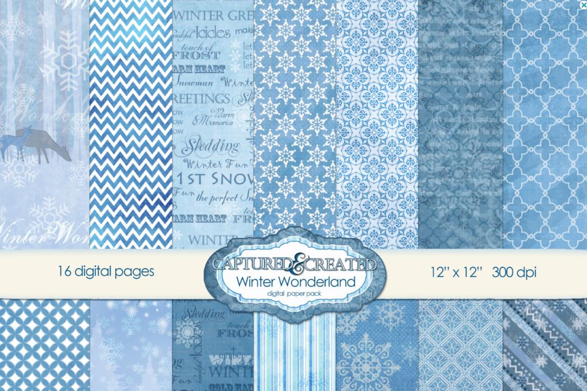 Winter Wonderland: Digital Paper-16