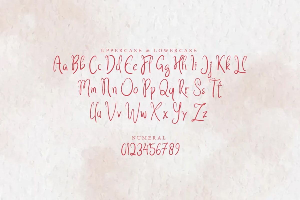 Agidãs, a Script Font by khalwa.studio (Photo 2 of 5)