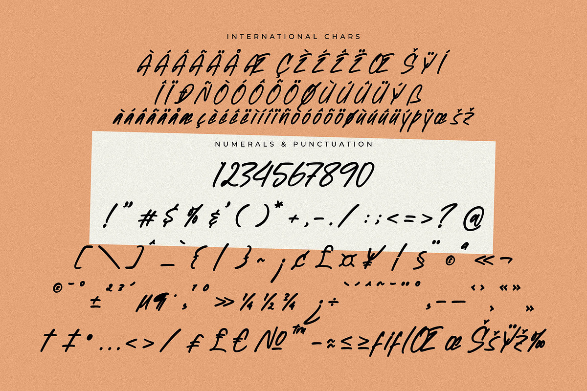 Newtonick Chodes Display Handbrush, a Script Font by Letterena Studios Script (Photo 13 of 15)