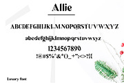 Allie, a Font by edcreative (Thumbnail 2 of 5)