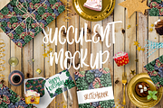 Succulent mockup on transparent back, a Decorative Illustration by Kseniia (Thumbnail 1 of 3)