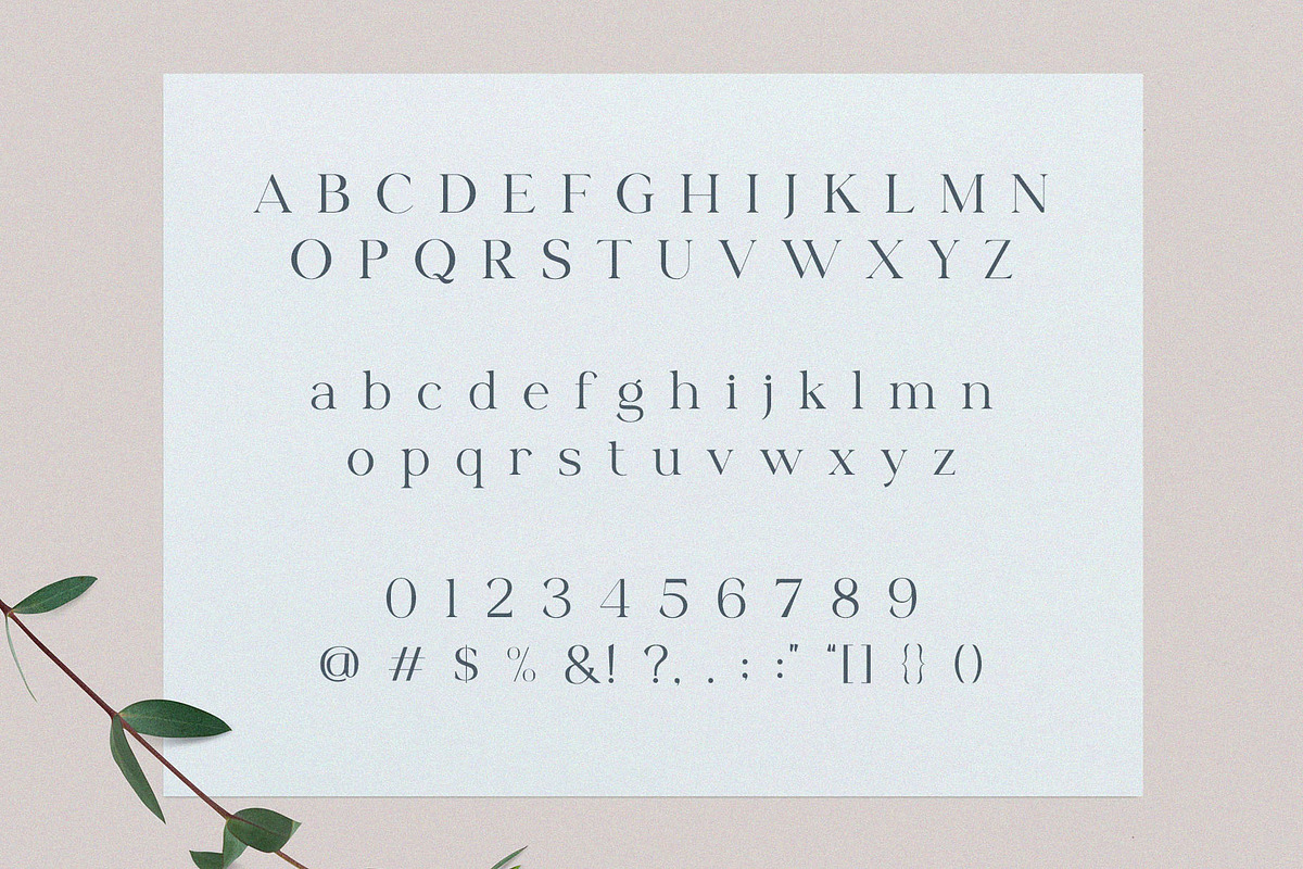 Milgalita – Modern Elegant Serif, a Serif Font by BrandSemut (Photo 8 of 8)