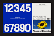 GC Kohlen – Condensed Display, a Sans Serif Font by Glyphonic (Thumbnail 8 of 15)