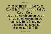 Cirelline, a Serif Font by Zaloma Studio (Thumbnail 18 of 19)