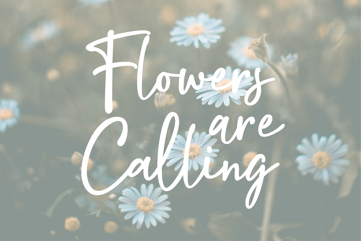 Magical Bright | Natural Signature, a Handwritten Font by ManType (Photo 4 of 7)