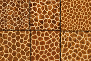 Realistic Giraffe Fur Texture, a Pattern Graphic by Artonix (Thumbnail 3 of 4)