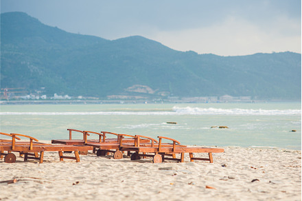 Sunbed on the beach - nature, a Nature Photo by Elizaveta Galitskaya