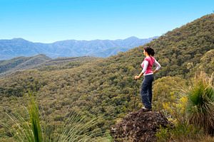 Woman Hiker in Mountains, a Person Photo by THP Creative