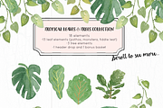 Tropical Leaves & Trees Clipart, a Decorative Illustration by Emerald & Ivy Studios (Thumbnail 2 of 4)