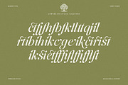 The Andalucia Serif, a Serif Font by Pista Mova (Thumbnail 20 of 26)