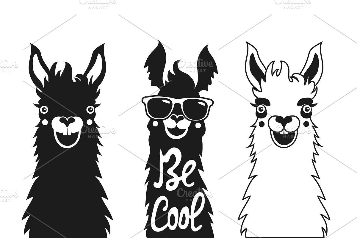 Funny hipster typography llama set, an Animal Illustration by JULYMILKS