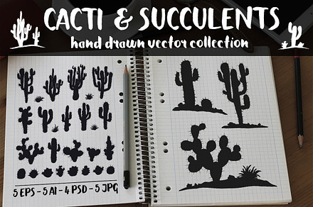 Vector Cacti & Succulents Set