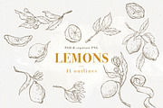 Lemons set of 11 pen sketches, a Decorative Illustration by Bee_in_a_Nest (Thumbnail 1 of 2)