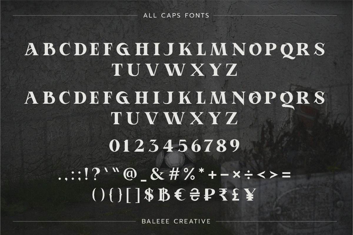 Aporla - Elegant Slab Serif, a Slab Serif Font by Baleee (Photo 16 of 18)