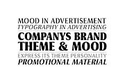 Griggs Flare Serif, a Serif Font by Seniors (Thumbnail 2 of 8)