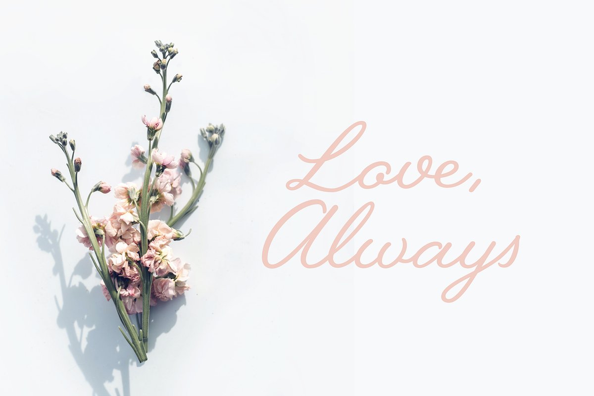 Jullina - Handwriting Script Font, a Script Font by Danielle Eneh (Photo 13 of 13)