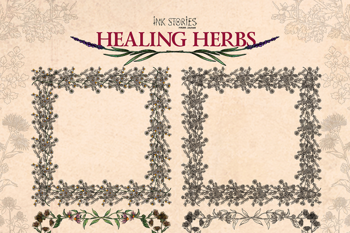 Healing Herbs * Botanical Bundle, a Healthcare Illustration by Ink Stories (Photo 10 of 13)