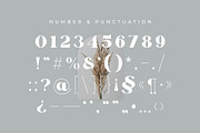 Glaure Vintage Serif Font, a Serif Font by Idea Studio (Thumbnail 10 of 10)